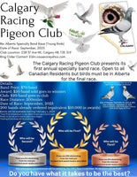 A: Calgary News
