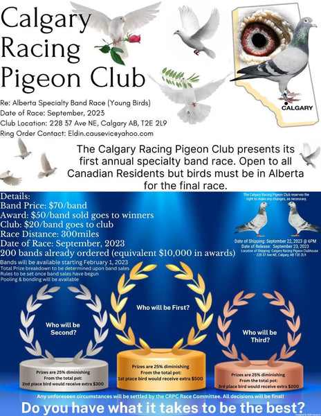 A: Calgary News