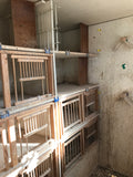 a: Pigeon loft for sale 24x8