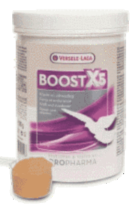 Boost X5