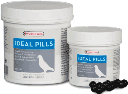 Ideal pills