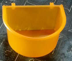 Feeder White or yellow